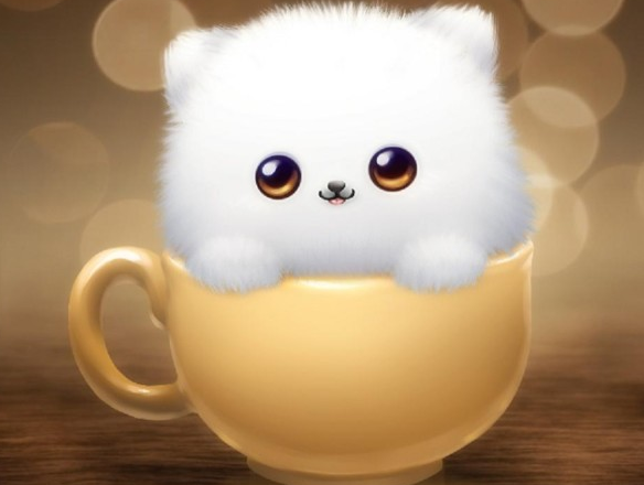 Cute Kittens Wallpapers For Mobile Hd