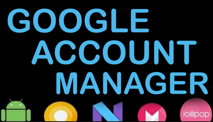 Google Account Manager