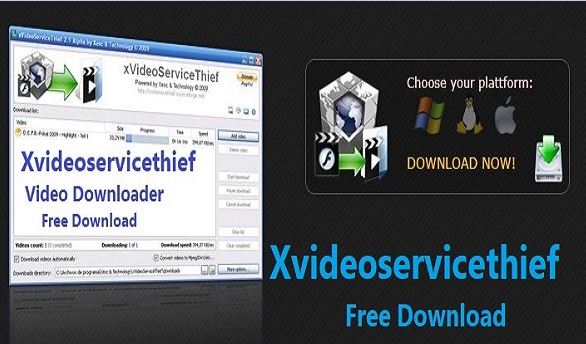 Xvideoservicethief 2019 linux ddos attack free download for windows 7 video youtube