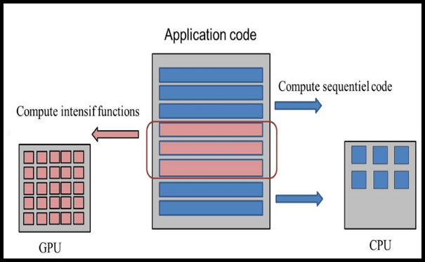 Graphics Processing Unit(GPU) and Central Processing Unit(CPU)